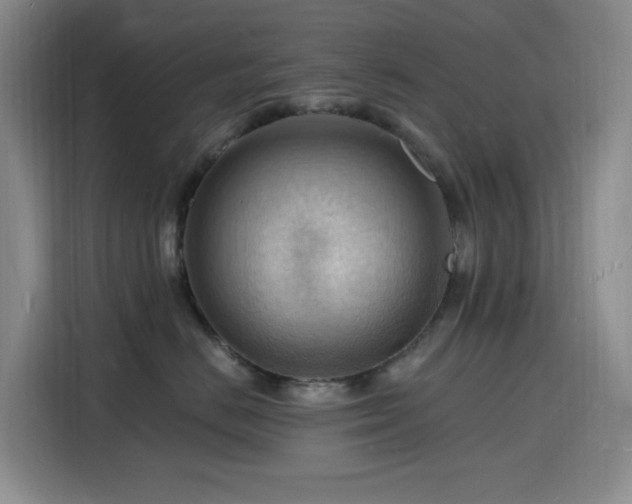 X0000116130670200911231236