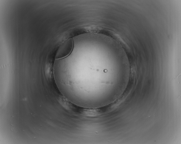 X0000116130671200911231236