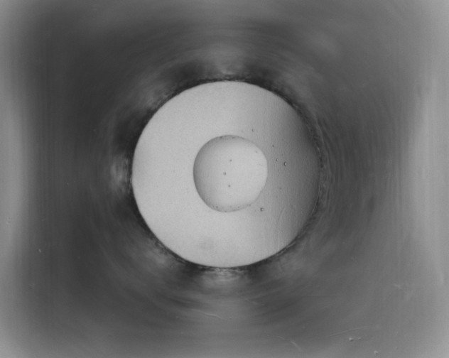 X0000116130672200911231236
