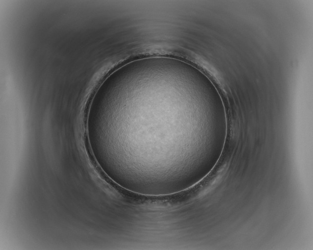 X0000116130673200911231236