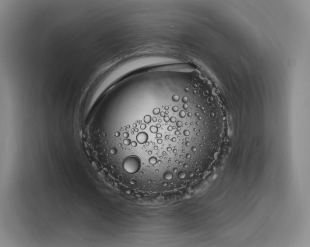 X0000116130675200911231236
