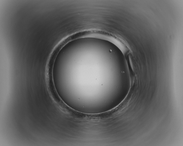 X0000116130676200911231236