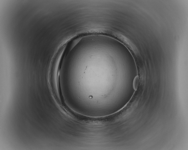 X0000116130677200911231236