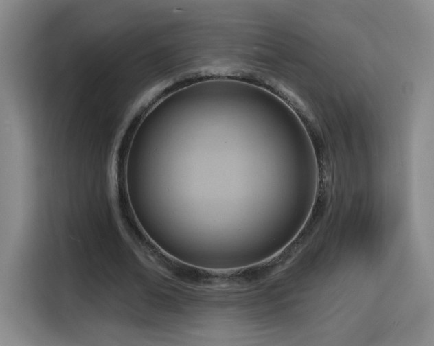 X0000116130678200911231236