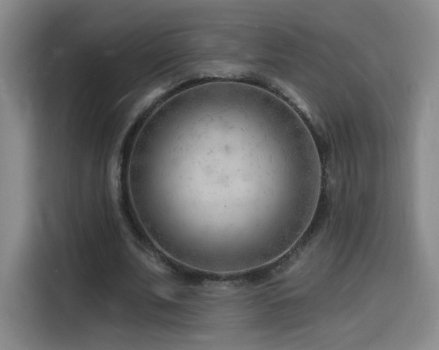 X0000116130679200911231236
