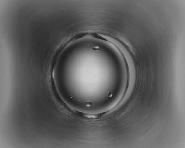 X0000116130681200911231236