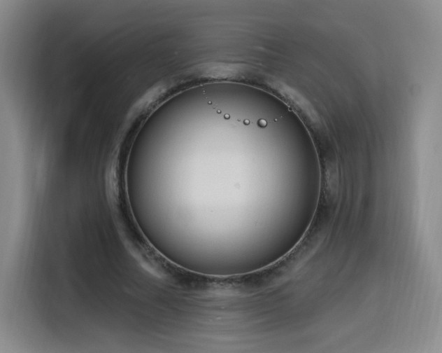 X0000116130682200911231236