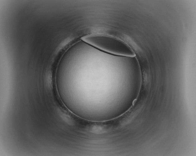 X0000116130684200911231236
