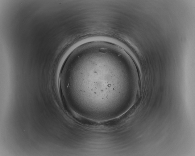 X0000116130685200911231235
