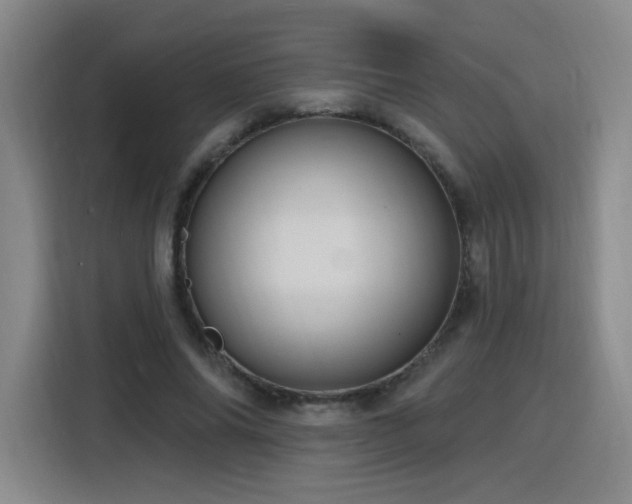 X0000116130686200911231235