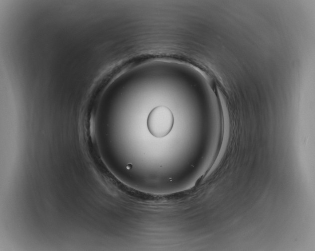 X0000116130688200911231235