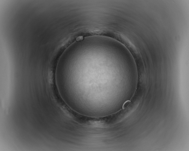 X0000116130689200911231235