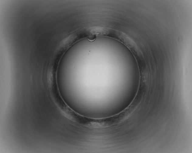 X0000116130690200911231235