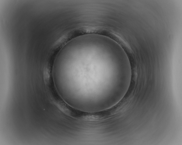 X0000116130691200911231235