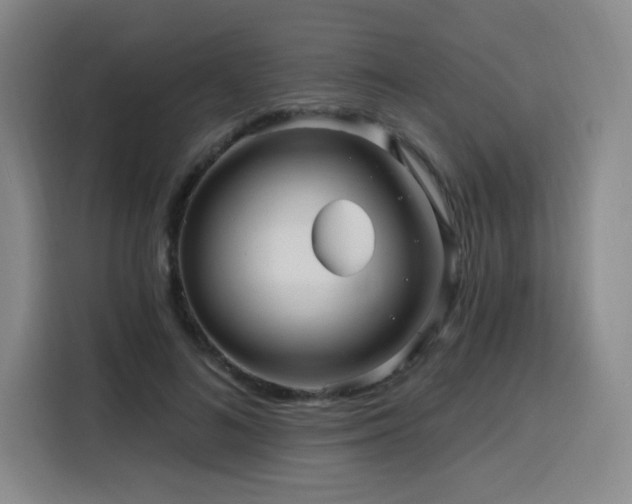 X0000116130692200911231235