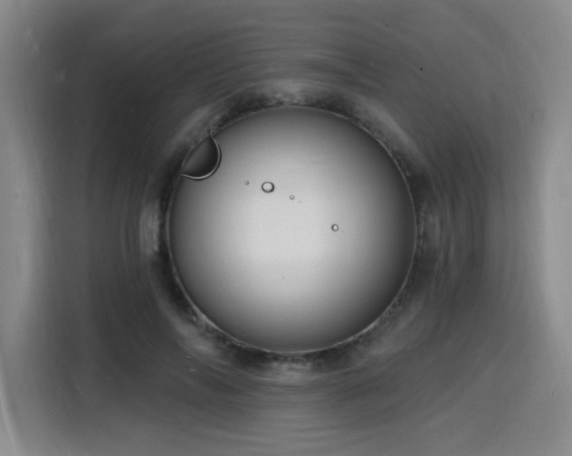 X0000116130694200911231235