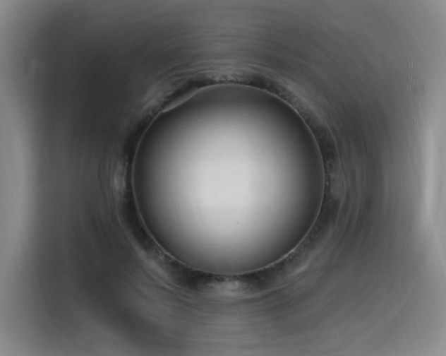 X0000116130695200911231235