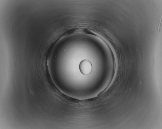 X0000116130696200911231235