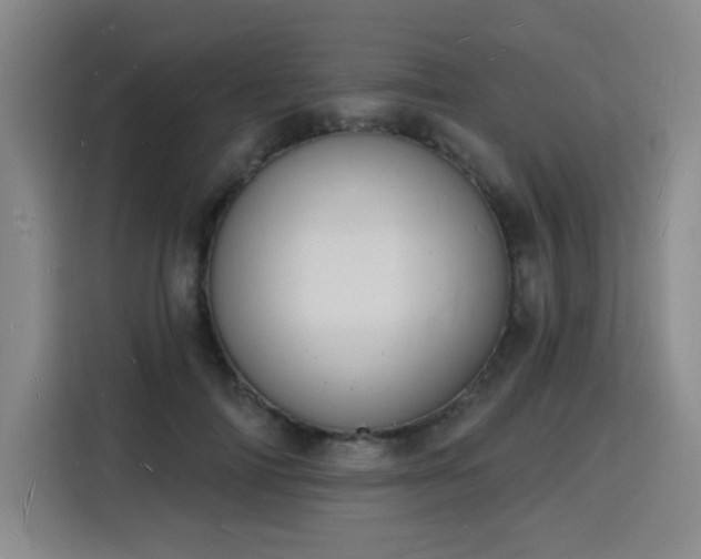 X0000116130698200911231235
