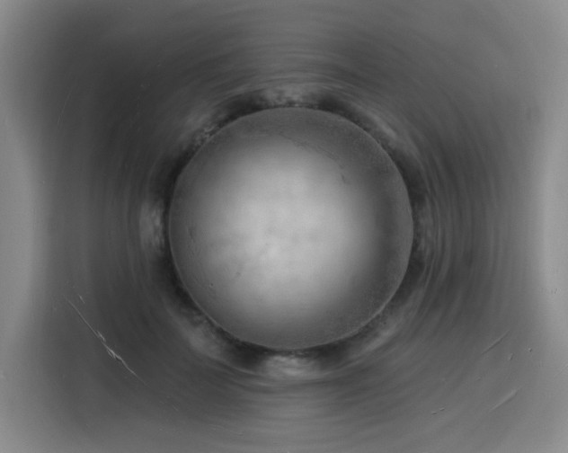 X0000116130699200911231235