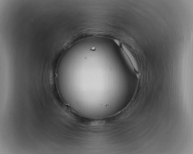 X0000116130700200911231235