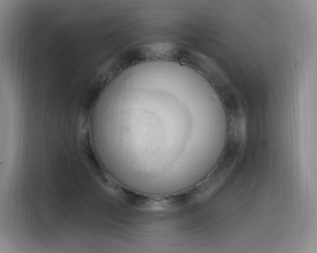 X0000116130701200911231235