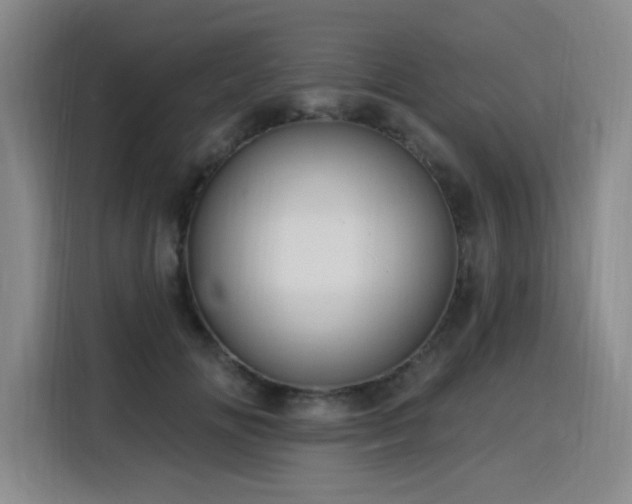 X0000116130702200911231235