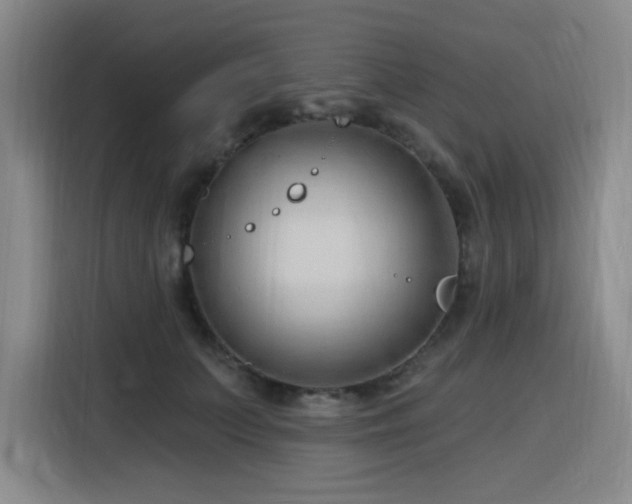 X0000116130703200911231235