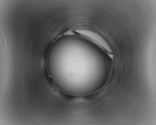 X0000116130704200911231235