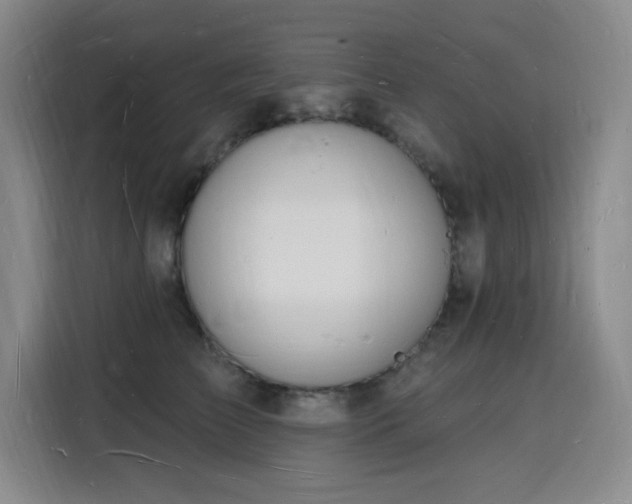 X0000116130709200911231235