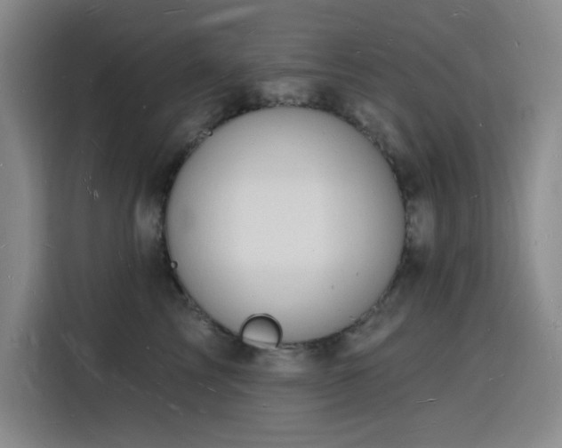 X0000116130713200911231235