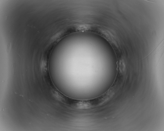 X0000116130714200911231235