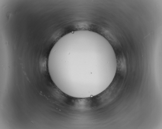 X0000116130717200911231235