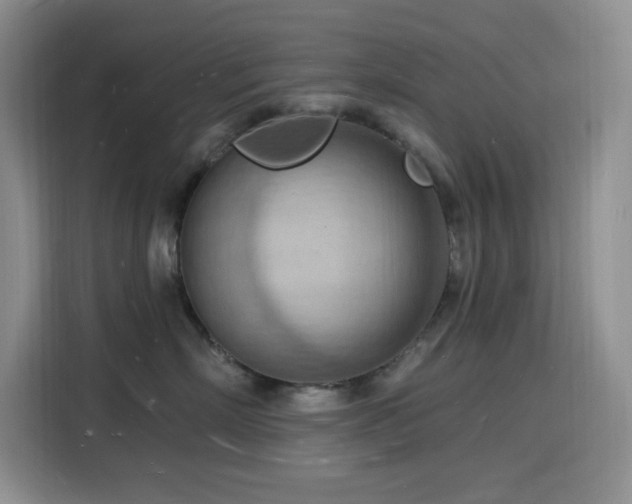 X0000116130718200911231235