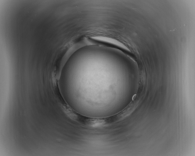 X0000116130719200911231235