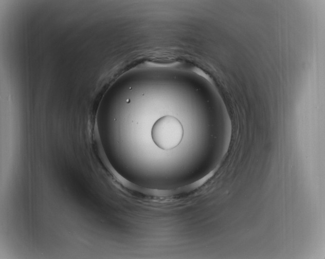 X0000116130720200911231235