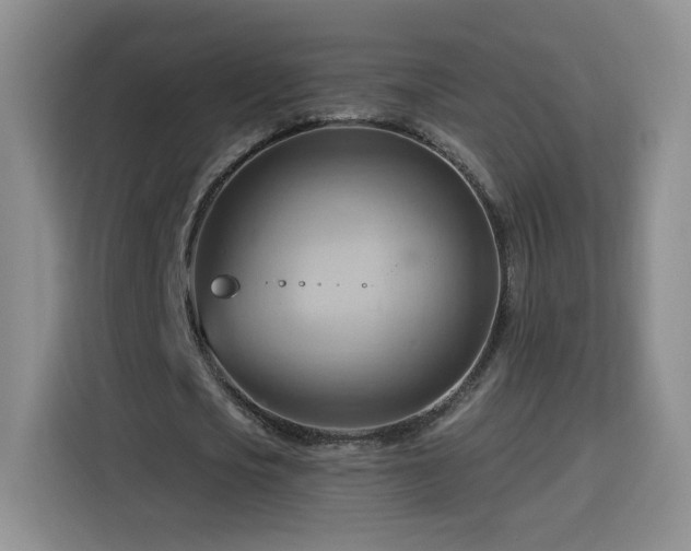 X0000116130721200911231234