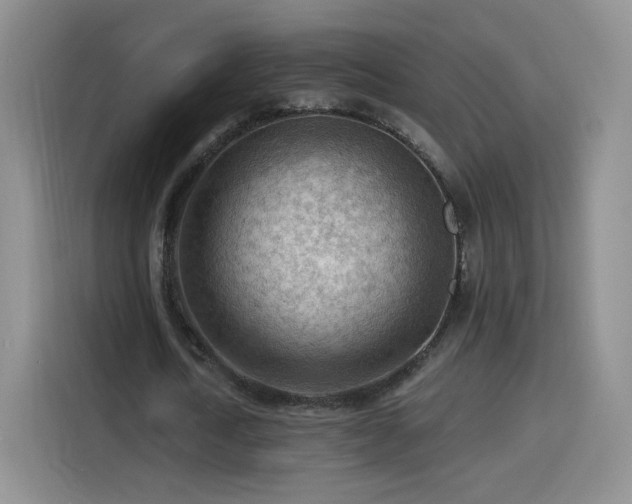 X0000116130722200911231234