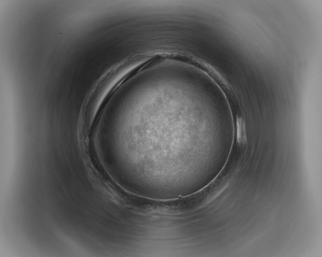X0000116130723200911231234