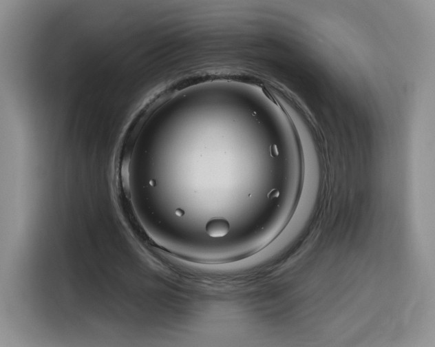 X0000116130725200911231234