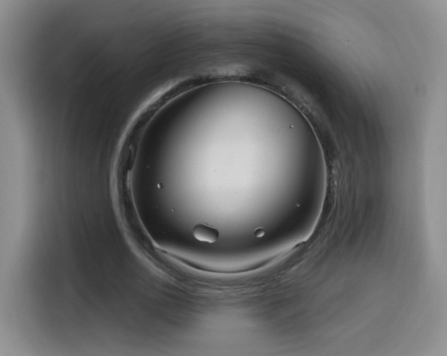 X0000116130726200911231234