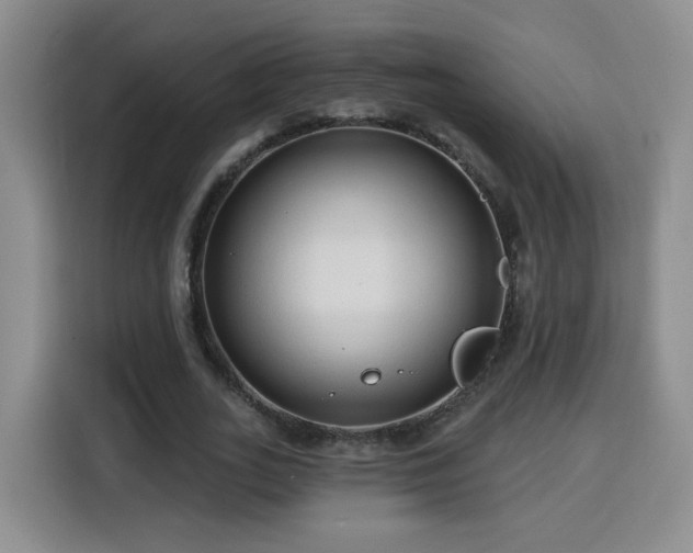 X0000116130727200911231234