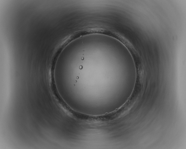 X0000116130729200911231235
