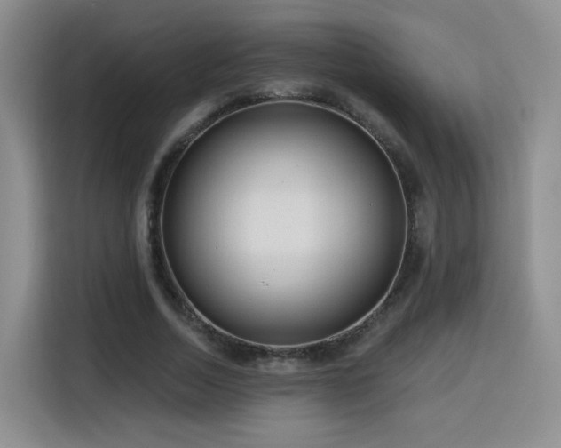 X0000116130730200911231235