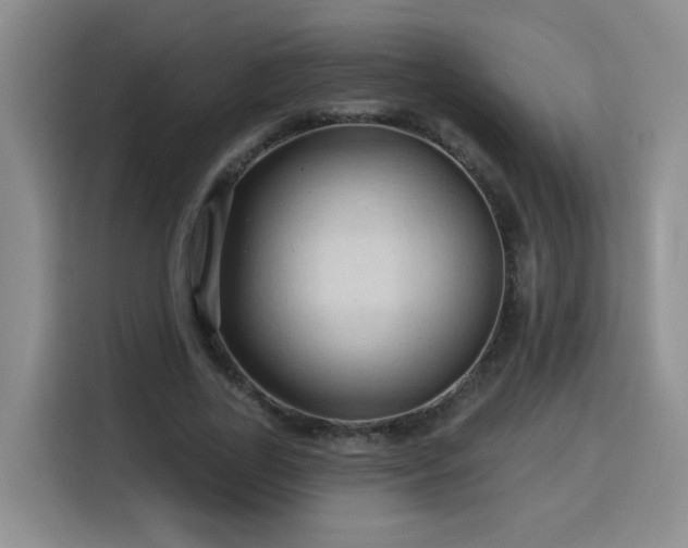 X0000116130731200911231235