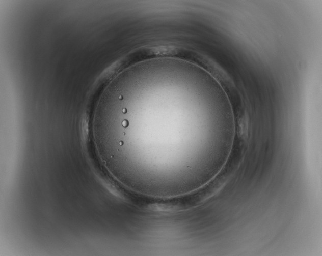 X0000116130733200911231235