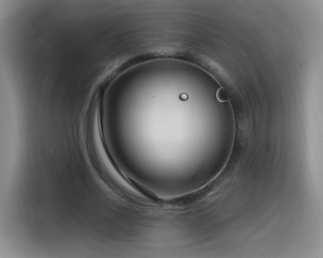 X0000116130734200911231235