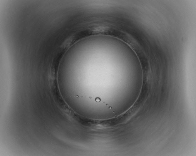 X0000116130737200911231235