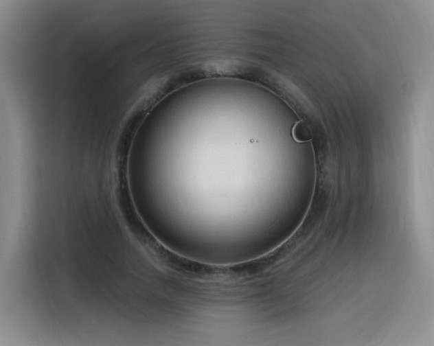 X0000116130738200911231235