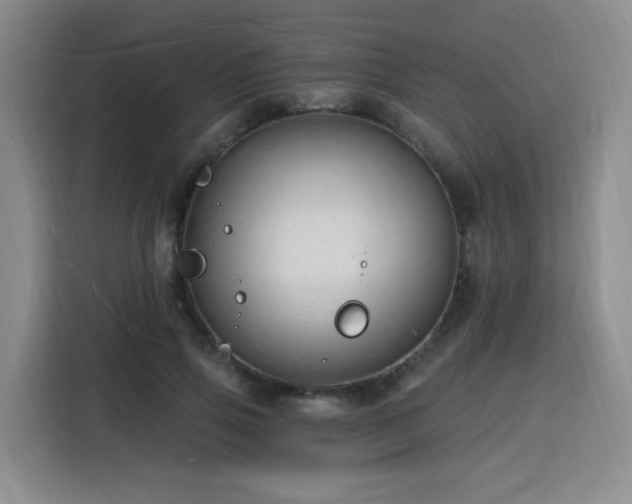 X0000116130741200911231235